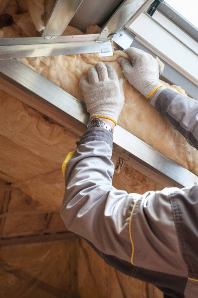 Best Blown-in Insulation in Bella Vista, AR
