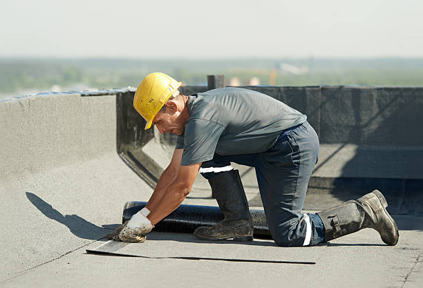 Professional Insulation Contractor in Bella Vista, AR