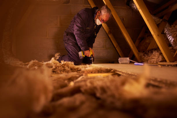 Best Spray Foam Insulation in Bella Vista, AR
