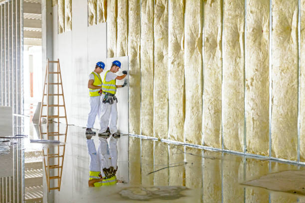 Types of Insulation We Offer in Bella Vista, AR